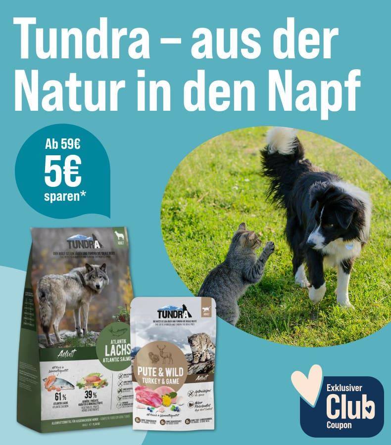 Spare 5 € ab 59 € auf Tundra Tiernahrung Aktionsbanner für Tundra Tiernahrung. Links der Schriftzug „Tundra – aus der Natur in den Napf“. Mittig sind ein Tundra-Trockenfutterbeutel und eine Nassfutterpackung abgebildet. Rechts spielen ein Hund und eine Katze auf einer grünen Wiese. Hinweis: Exklusiver Club-Coupon mit 5 € Rabatt ab 59 € Einkaufswert.