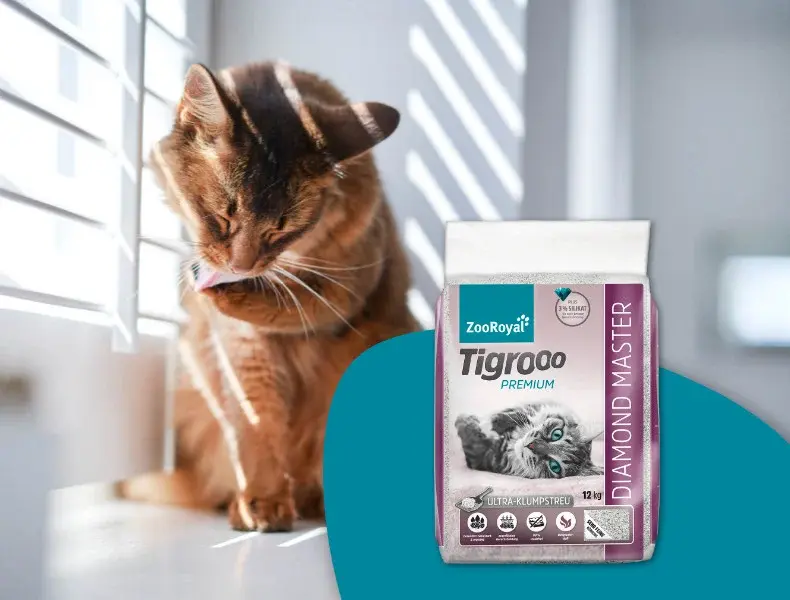 Tigrooo Katzenstreu mit putzender Katze im Sonnenlicht Katze putzt sich auf einer Fensterbank neben einer Packung ZooRoyal Tigrooo Katzenstreu.