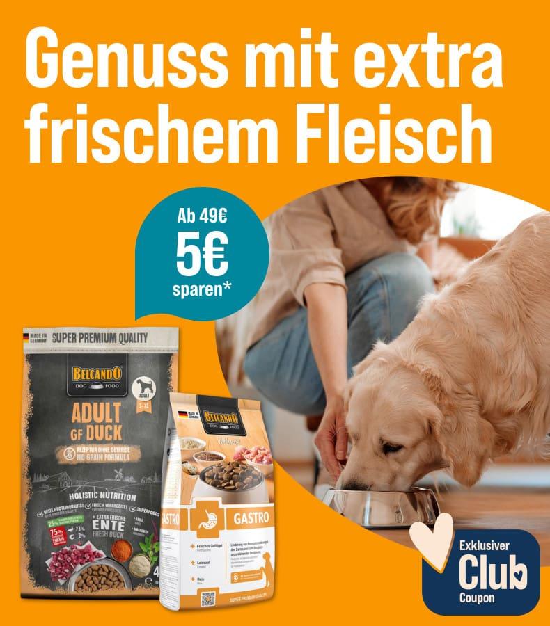 5€ Rabatt ab 49€ auf Belcando Aktionsbanner mit BELCANDO Hundefutterprodukten und einem Hund, der aus einem Napf frisst.