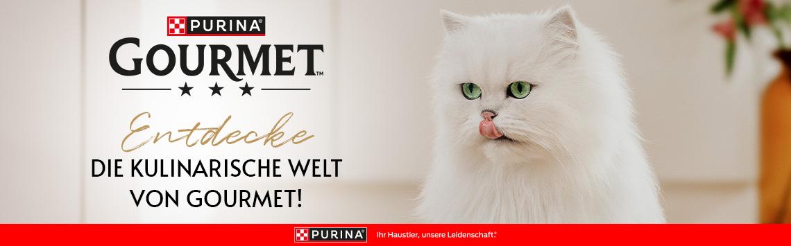 GOURMET Katzenfutter Aktionsbanner für Purina Gourmet Katzenfutter. Links Purina Gourmet Logo sowie der Schriftzug „Entdecke die kulinarische Welt von Gourmet!“. Rechts eine weiße Langhaarkatze mit grünen Augen vor unscharfem Wohnambiente. Unten roter Markenbalken mit Purina Logo und dem Hinweis „Ihr Haustier, unsere Leidenschaft“. Hinweis: Elegantes Markenmotiv in hellen Beige-, Weiß- und Rottönen.