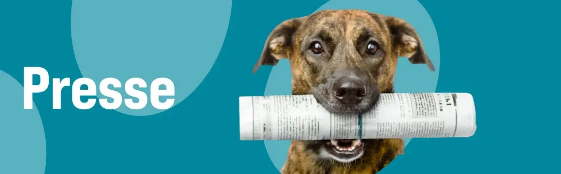 Presse Banner in petrol mit Hundemotiv zur Presse‑ und Unternehmensinformation