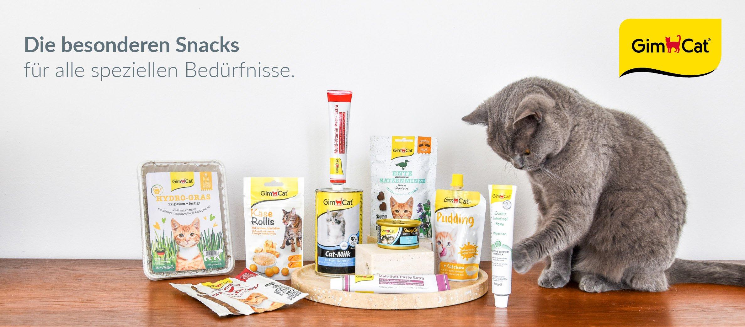 GimCat Produktübersicht Graue Katze sitzt vor verschiedenen GimCat Snacks und Pasten auf einem Holztablett.