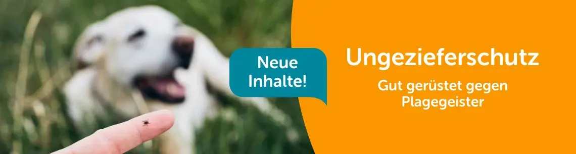 Topbanner Ungezieferschutz für Hunde Banner für die Themenwelt Ungezieferschutz mit Hund und Zecke auf der Wiese.