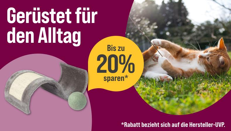 9012 Katze