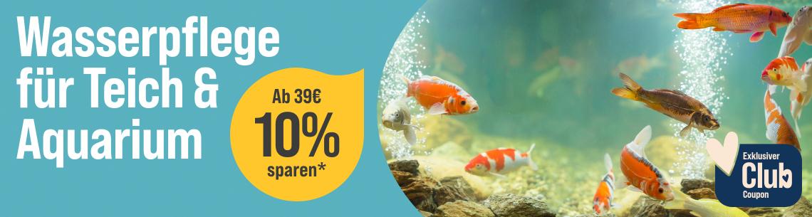 Spare 10 % ab 39 € auf Wasserpflege Aktionsbanner für Wasserpflege für Teich & Aquarium. Links der Schriftzug „Wasserpflege für Teich & Aquarium“ auf hellblauem Hintergrund. Mittig gelber Rabatt-Hinweis „Ab 39 € 10 % sparen“. Rechts ein Teich- bzw. Aquarienmotiv mit mehreren orangefarbenen, weißen und dunklen Fischen im Wasser sowie aufsteigenden Luftblasen. Rechts unten Hinweis „Exklusiver Club Coupon“ mit Herzsymbol. Hinweis: Werbemotiv in Blau-, Grün- und Gelbtönen für Wasserpflegeprodukte in Teich und Aquarium.*