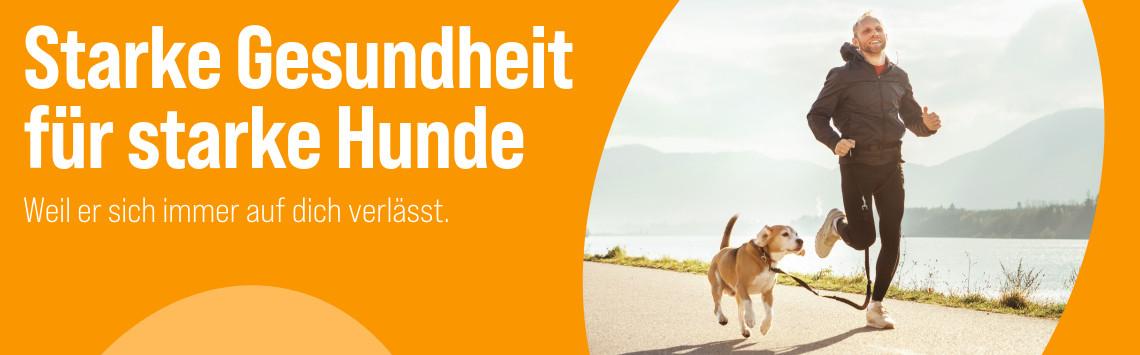 Hundegesundheit Hund läuft an der Leine neben einer joggenden Person auf einem Weg am Wasser, Banner zum Thema Hundegesundheit.