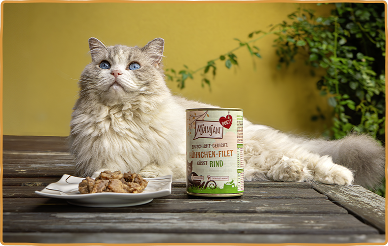 MjAMjAM Duett Helle Langhaarkatze liegt hinter einer Dose MjAMjAM Duett Katzenfutter.
