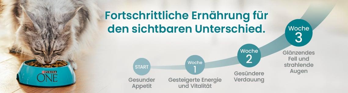 Purina One Grafik zur Fütterung Katze frisst aus einem Napf mit Purina‑ONE‑Logo neben einer Grafik zu sichtbaren Fütterungsergebnissen.