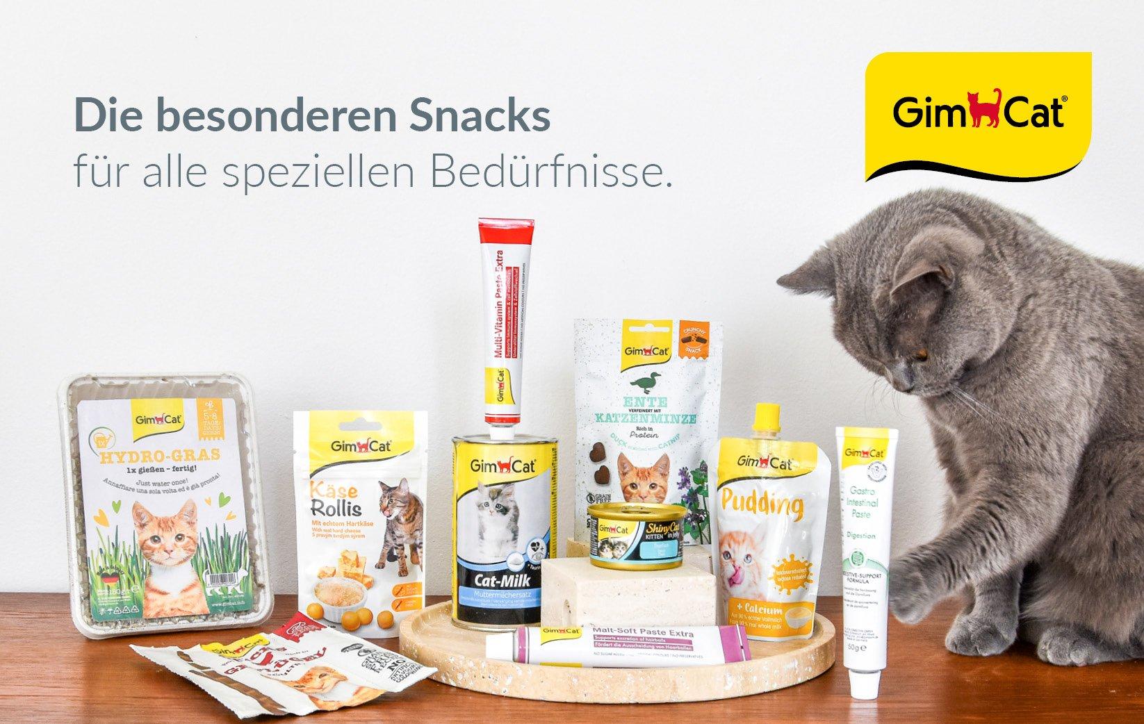 GimCat Produktübersicht Graue Katze sitzt vor verschiedenen GimCat Snacks und Pasten auf einem Holztablett.