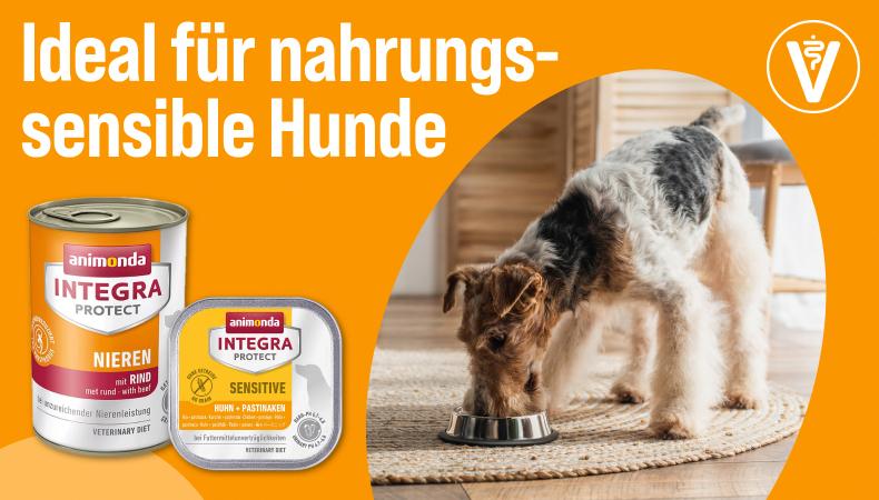 Entdecke Hundefutter von Integra Protect Werbebanner für animonda Integra Protect Diätnahrung mit dem Schriftzug „Ideal für nahrungssensible Hunde“. Abgebildet sind die Produkte animonda Integra Protect Sensitive und Integra Protect Nieren. Rechts frisst ein Hund aus einem Futternapf in einem Wohnraum. Ein Veterinär-Symbol weist auf die spezielle Ernährungslinie hin.
