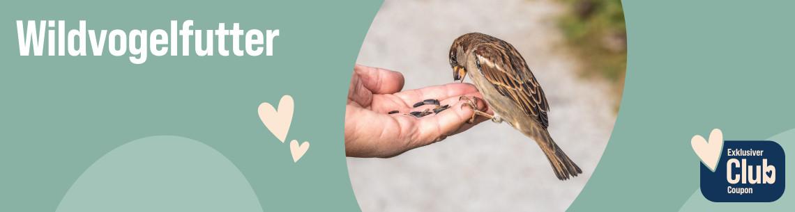Entdecke hochwertiges Wildvogelfutter Aktionsbanner für Wildvogelfutter. Links der Titel „Entdecke hochwertiges Wildvogelfutter“. Mittig ein Foto eines Wildvogels, der Körner aus einer ausgestreckten Hand frisst. Rechts ein Badge mit dem Hinweis „Exklusiver Club Coupon“. Hinweis: Exklusive Vorteile für Club-Mitglieder auf ausgewählte Produkte für Wildvögel.
