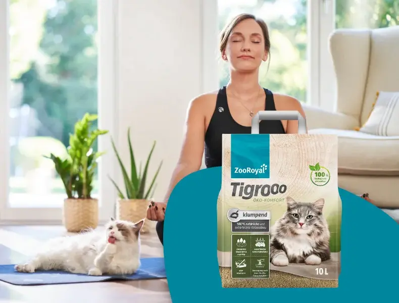 Tigrooo Öko‑Komfort Katzenstreu Katze liegt auf einer Yogamatte neben einer Person, während eine Packung ZooRoyal Tigrooo Öko‑Komfort Katzenstreu im Vordergrund steht.