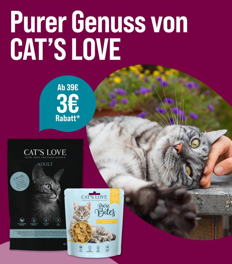 Spare 3 € ab 39 € auf CAT`S LOVE Aktionsbanner mit CAT’S LOVE Katzenfutter und Katzensnacks sowie einer liegenden Katze als Motiv.