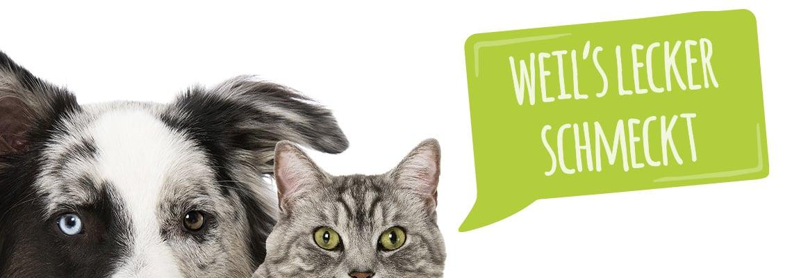 MjAMjAM Abbinder Hund und Katze neben dem Text „Weil’s lecker schmeckt“ auf weißem Hintergrund.