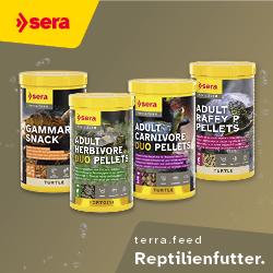 Sera Terra Futter Vier Dosen Sera‑Terraristikfutter für Schildkröten und Reptilien.