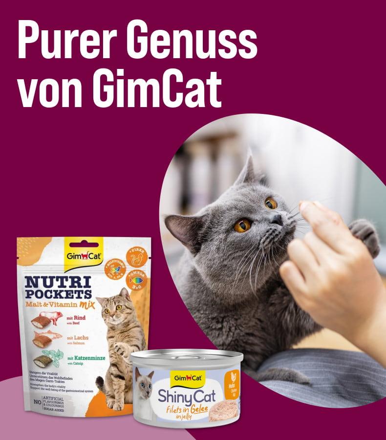 Entdecke Katzenfutter von GimCat Aktionsbanner für Katzensnacks und ‑futter von GimCat. Katze wird aus der Hand gefüttert, daneben Verpackungen von Snacks und Nassfutter, Hinweis auf „Purer Genuss von GimCat“.