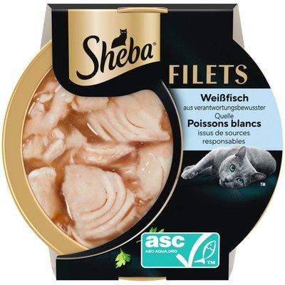 Filets Schale Weißfisch in Sauce ASC Filets Schale Weißfisch in Sauce ASC