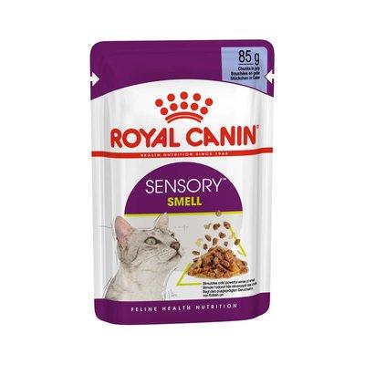 Royal Canin Sensory Smell Jelly Royal Canin Sensory Smell Jelly