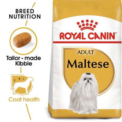 ROYAL CANIN Maltese Adult Hundefutter trocken ROYAL CANIN Maltese Adult Hundefutter trocken