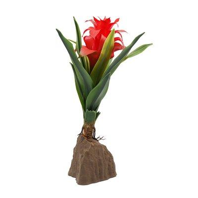 Lucky Reptile Bromelie Pflanze groß rot 30 cm Lucky Reptile Bromelie Pflanze groß rot 30 cm