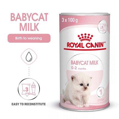 ROYAL CANIN BABYCAT MILK Aufzuchtmilch für Kitten 300g ROYAL CANIN BABYCAT MILK Aufzuchtmilch für Kitten 300g