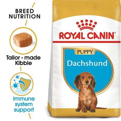 ROYAL CANIN Dachshund Puppy Welpenfutter trocken für Dackel 1,5kg ROYAL CANIN Dachshund Puppy Welpenfutter trocken für Dackel 1,5kg