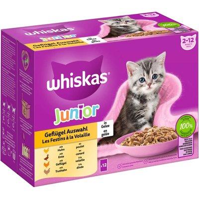 WHISKAS Junior Geflügel Auswahl in Gelee 12x85g WHISKAS Junior Geflügel Auswahl in Gelee 12x85g