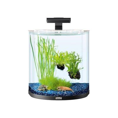 Tetra AquaArt Explorer Line Halfmoon Komplett-Set 30l Tetra AquaArt Explorer Line Halfmoon Komplett-Set 30l