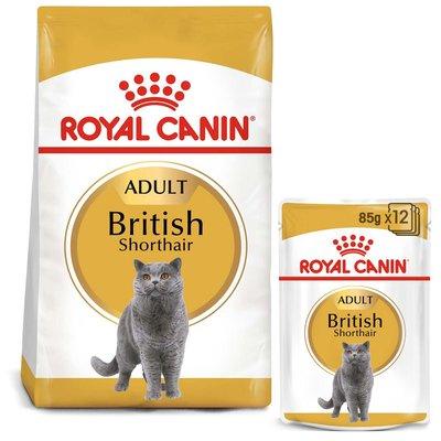 ROYAL CANIN ADULT British Shorthair 2kg + Nassfutter in Soße 12x85g ROYAL CANIN ADULT British Shorthair 2kg + Nassfutter in Soße 12x85g