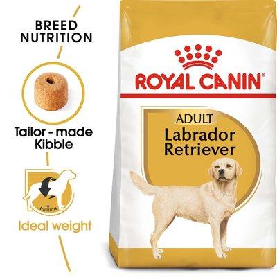 ROYAL CANIN Labrador Retriever Adult Hundefutter trocken ROYAL CANIN Labrador Retriever Adult Hundefutter trocken