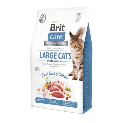 Brit Care GF Large Cats Power & Vitality Brit Care GF Large Cats Power & Vitality