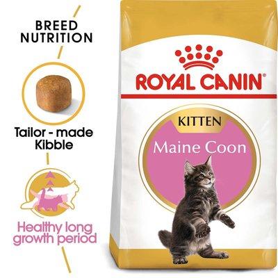 ROYAL CANIN Maine Coon Trockenfutter für Kätzchen ROYAL CANIN Maine Coon Trockenfutter für Kätzchen