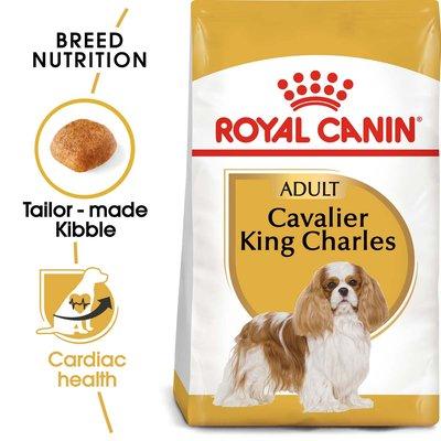 ROYAL CANIN Cavalier King Charles Adult Hundefutter trocken ROYAL CANIN Cavalier King Charles Adult Hundefutter trocken