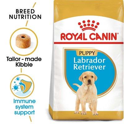 ROYAL CANIN Labrador Retriever Puppy Welpenfutter trocken ROYAL CANIN Labrador Retriever Puppy Welpenfutter trocken