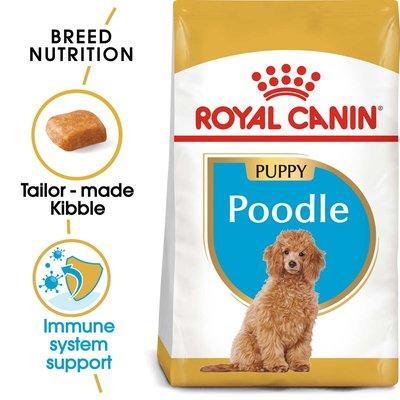 ROYAL CANIN Poodle Puppy Welpenfutter trocken für Pudel ROYAL CANIN Poodle Puppy Welpenfutter trocken für Pudel