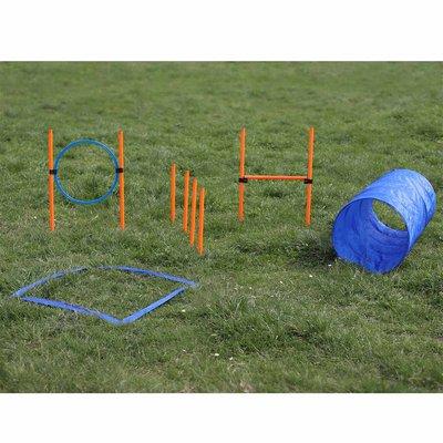 Procyon Agility Starter-Set Procyon Agility Starter-Set