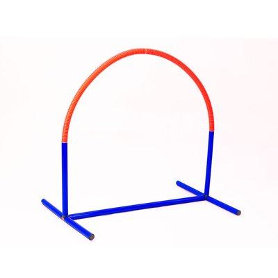 Procyon Hoopers Bogen Procyon Hoopers Bogen