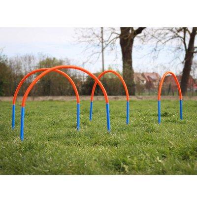 Procyon Hoopers Set Procyon Hoopers Set