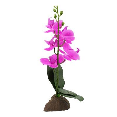 Lucky Reptile Orchidee klein lila 35 cm Lucky Reptile Orchidee klein lila 35 cm
