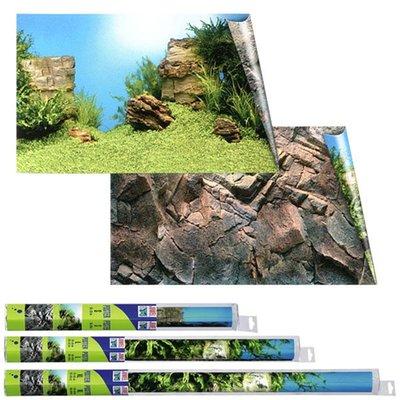 Juwel Rückwand Poster für Aquarium Juwel Rückwand Poster für Aquarium