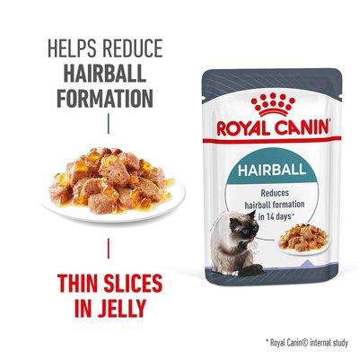 ROYAL CANIN HAIRBALL CARE Katzennahrung trocken gegen Haarballenbildung Jelly ROYAL CANIN HAIRBALL CARE Katzennahrung trocken gegen Haarballenbildung Jelly