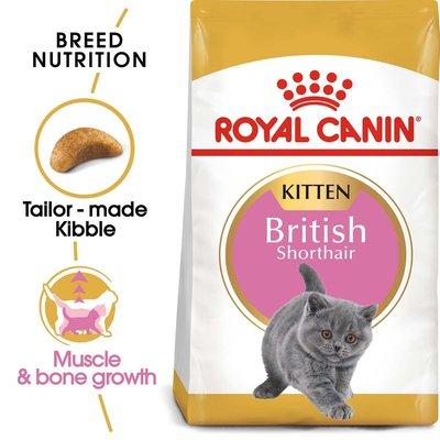 ROYAL CANIN British Shorthair Kittenfutter trocken für Kätzchen ROYAL CANIN British Shorthair Kittenfutter trocken für Kätzchen