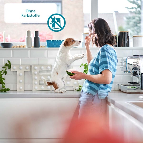 ZooRoyal Saftige Pastete mit Kalb & frischem Pansen bei ZooRoyal ZooRoyal Saftige Pastete mit Kalb & frischem Pansen bei ZooRoyal