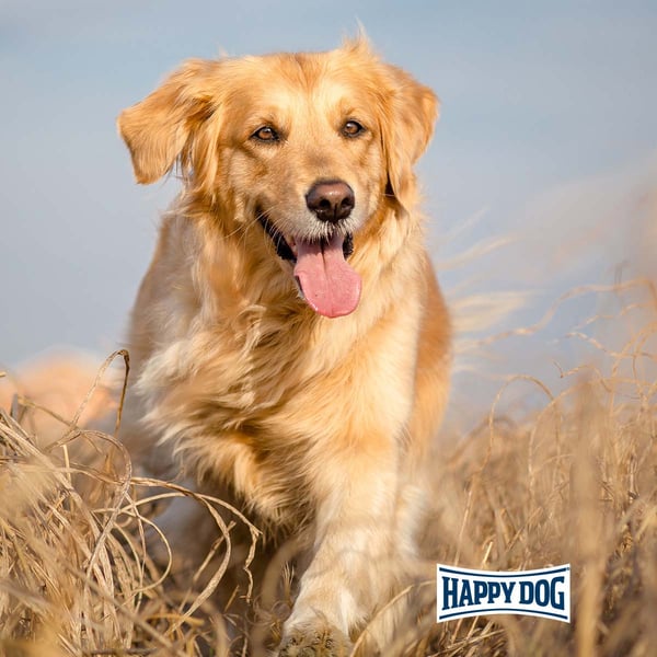 Happy Dog Premium NaturCroq Flocken Mixer kaufen bei ZooRoyal