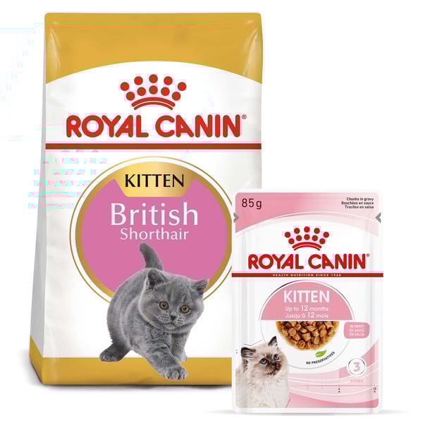 ROYAL CANIN KITTEN British Shorthair 2kg Kitten in So e 12x85g