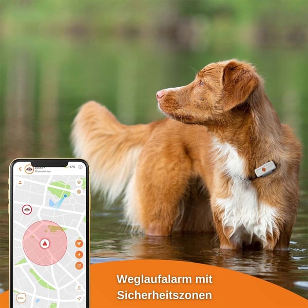 Rodeo Hassy Spiritus Weenect XS GPS Tracker für Hunde Weiß günstig kaufen bei ZooRoyal