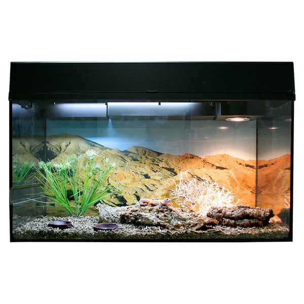 Lucky Reptile Terrarium Starter Kit 80 cm "Leopardgecko"