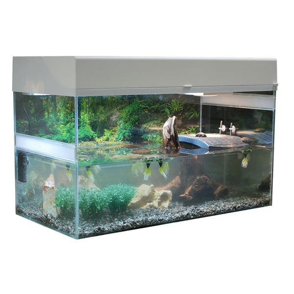 Lucky Reptile Terrarium Starter Kit 80 cm "Wasserschildkröte"