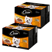 Cesar Feines im Frischebeutel Favoriten in Sauce 48x100g