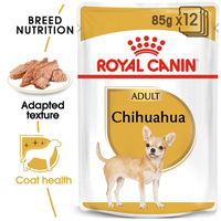 ROYAL CANIN Chihuahua Adult Hundefutter nass 12x85g